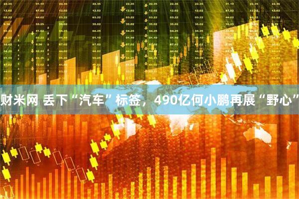 财米网 丢下“汽车”标签，490亿何小鹏再展“野心”